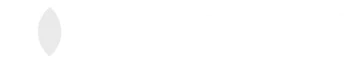 Mastercard payment option.